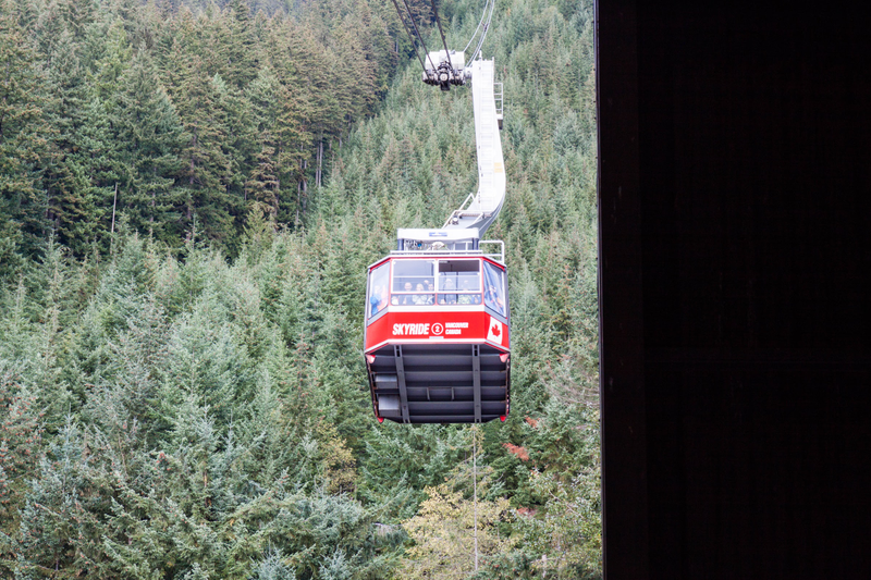 Illustration for article titled Pics from the (Mountain)side: 2016-10-10 at Grouse Mountain